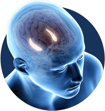 Billionaire Brain Wave buy
